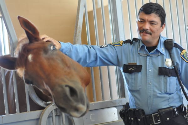 Mounted Patrol Police Officer