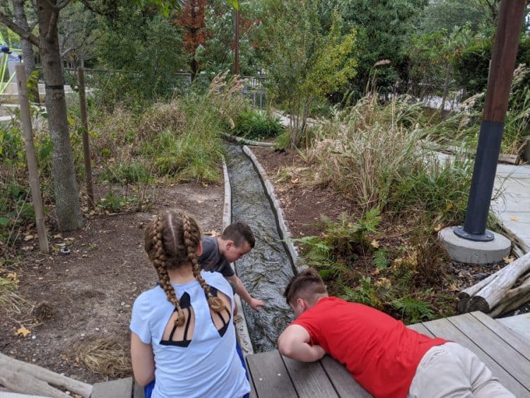 Midtown Park... in the middle of it all – JillBJarvis.com