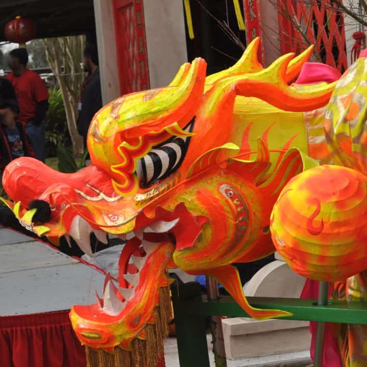 Lunar New Year Houston... Year of the Dragon! – JillBJarvis.com