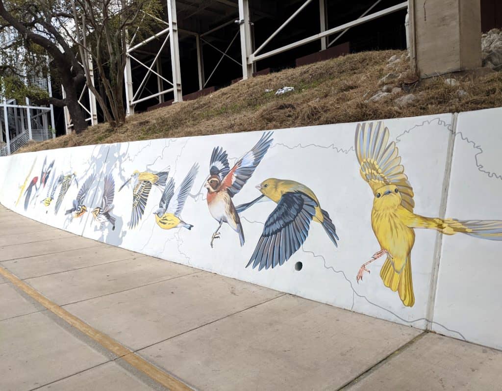 Migratory Birds Mural