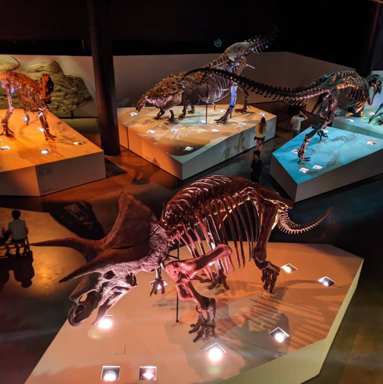 Where to See Dinosaurs around Houston – JillBJarvis.com