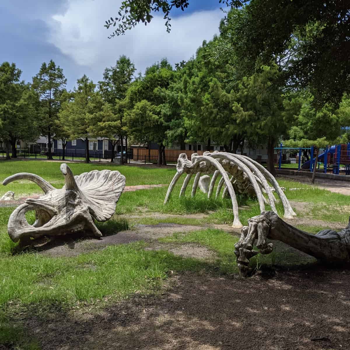 Travis Spark Park Houston's Dinosaur Park! –