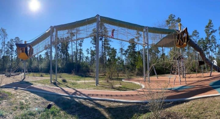 Look at the skywalk at Atascocita Park – JillBJarvis.com