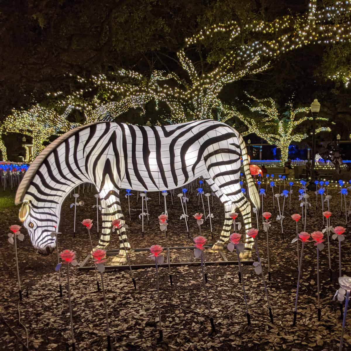 Houston Zoo Lights Zebra Lantern