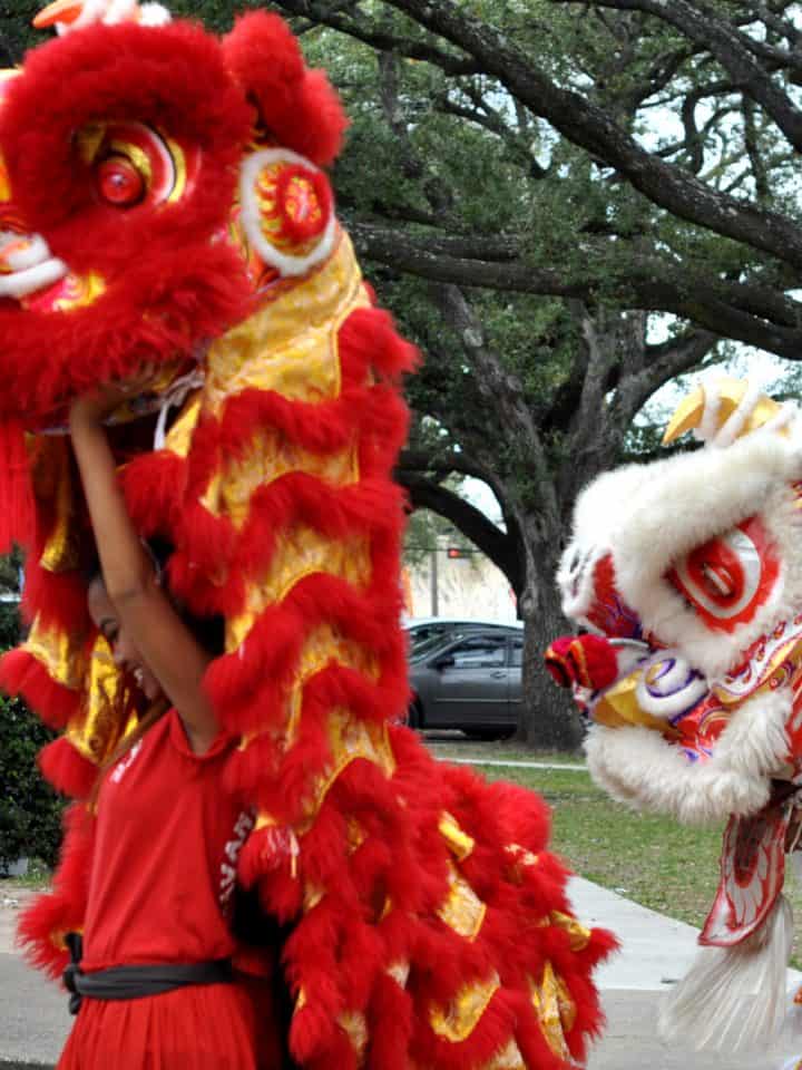 Lion Dance for Lunar New Year