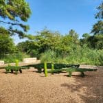 Hermann Park Alligator Playground