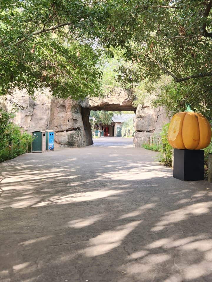 Houston Zoo Zoo Boo African Forest