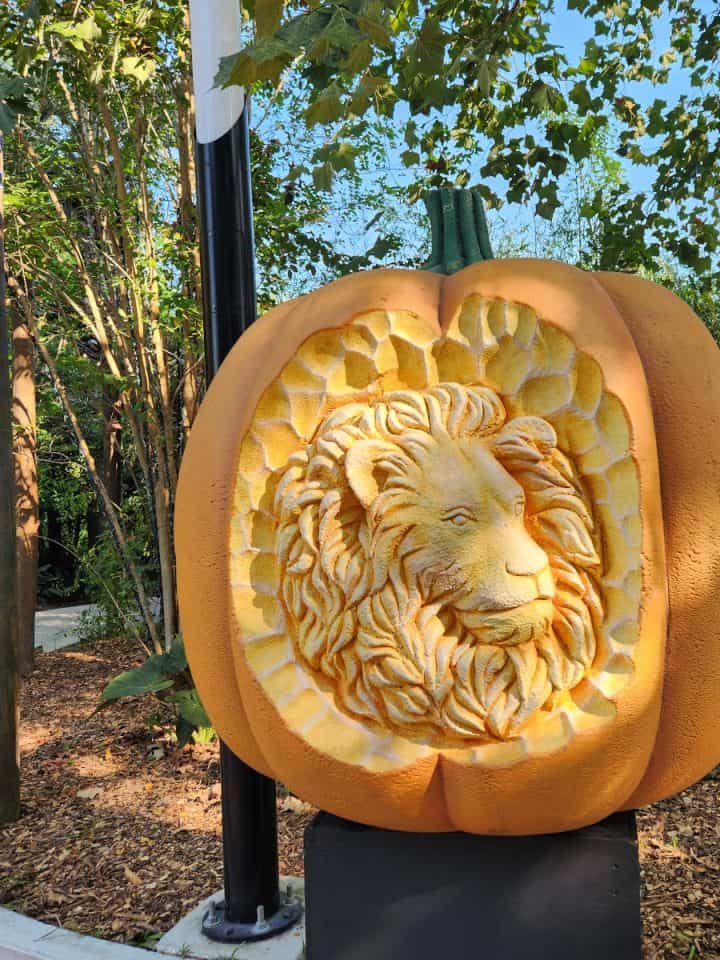 Houston Zoo Zoo Boo Lion Pumpkin