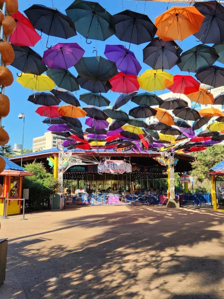 Houston Zoo Zoo Boo Umbrellas and Carousel