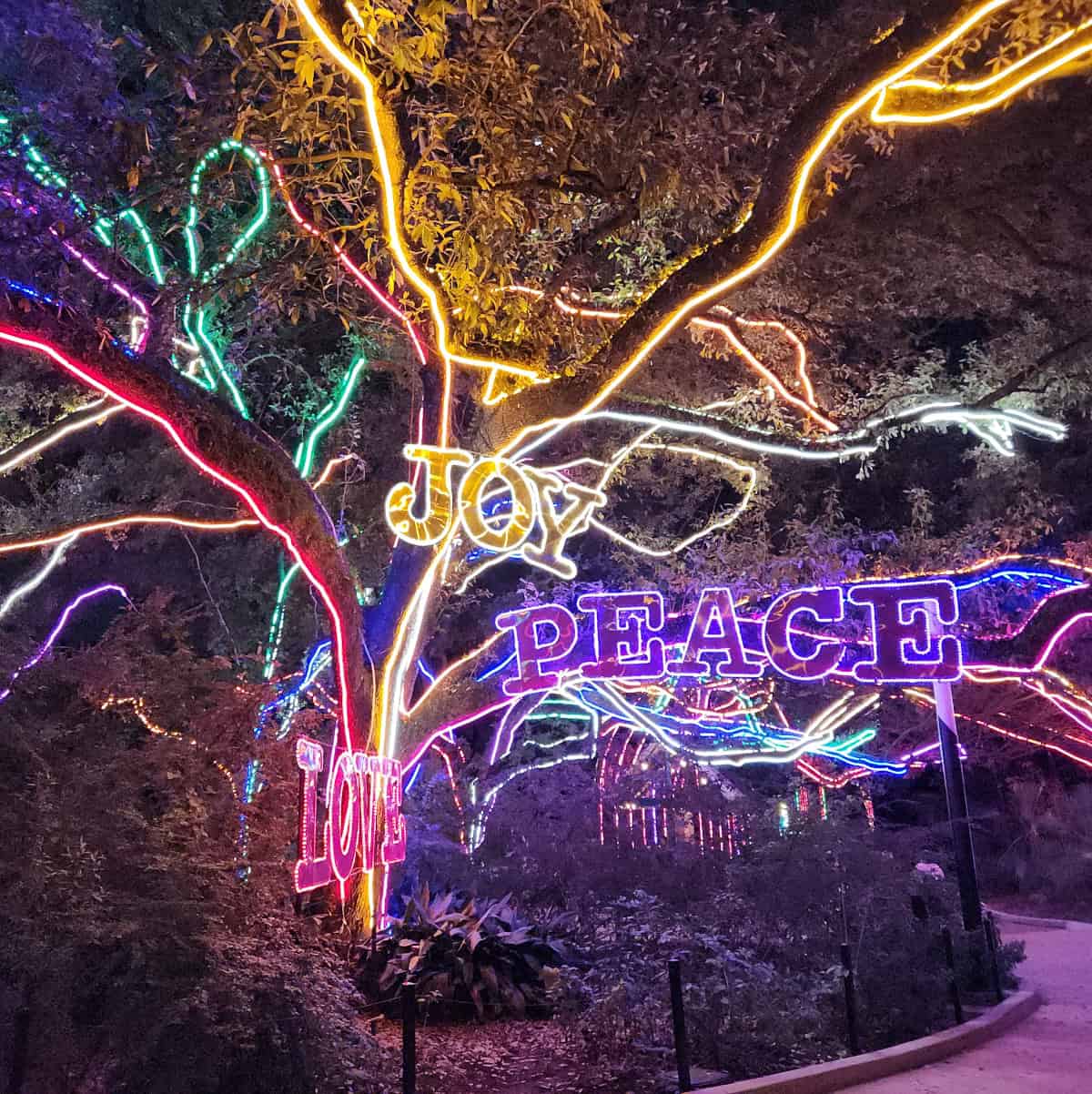 Joy and Peace Lights at Houston Zoo Zoo Lights