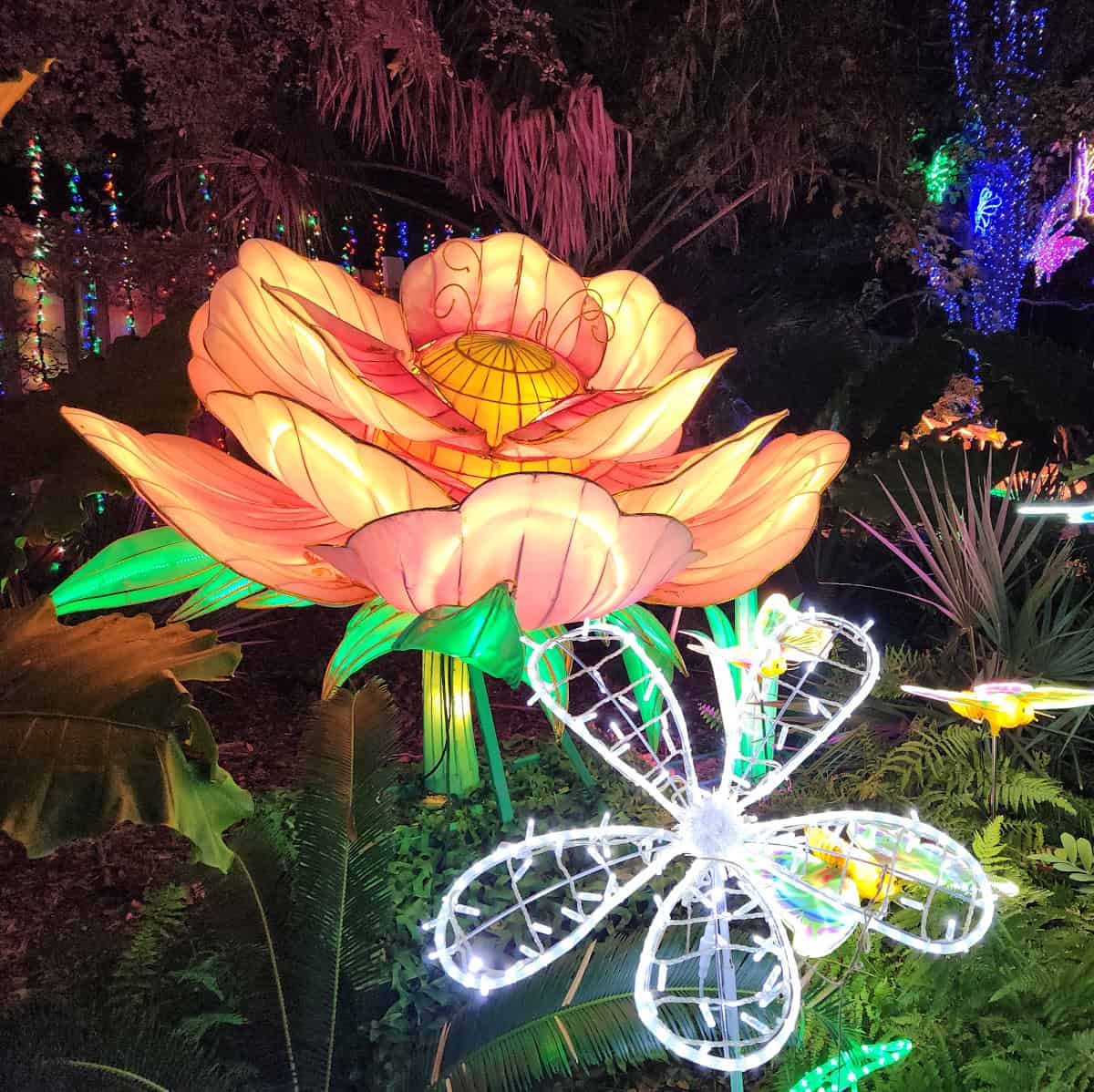 Houston Zoo Zoo Lights Flower