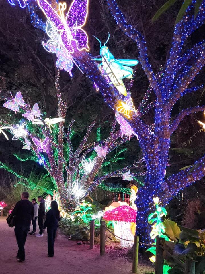 Houston Zoo Zoo Boo Garden Walkway