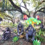 Houston Zoo Zoo Lights Gorillas