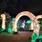 Houston Zoo Zoo Lights Snake Path