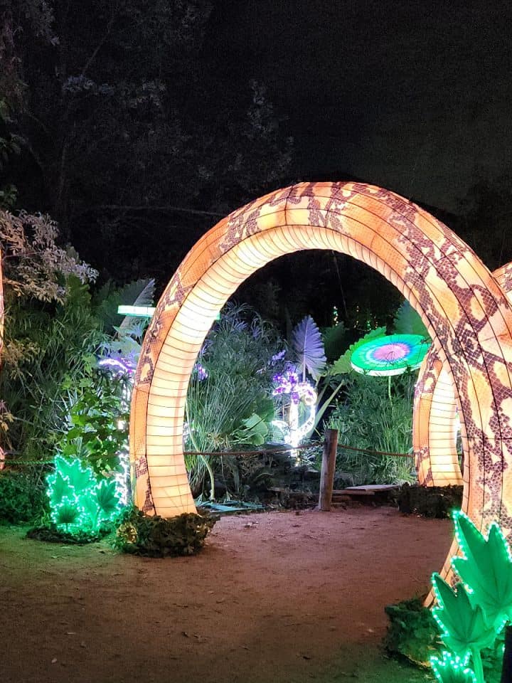 Houston Zoo Zoo Lights Snake Path