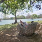 Hermann Park Rock Bench by McGovern Lake